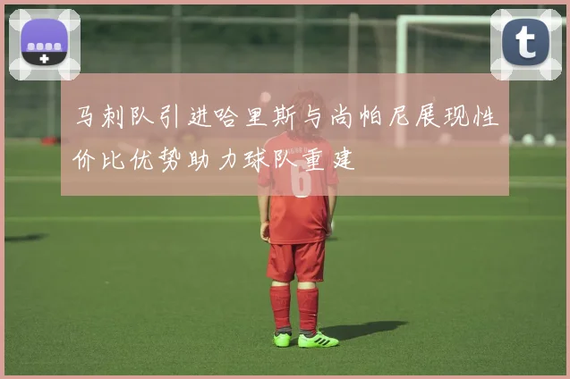 马刺队引进哈里斯与尚帕尼展现性价比优势助力球队重建