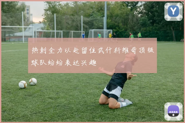 热刺全力以赴留住武什科维奇顶级球队纷纷表达兴趣